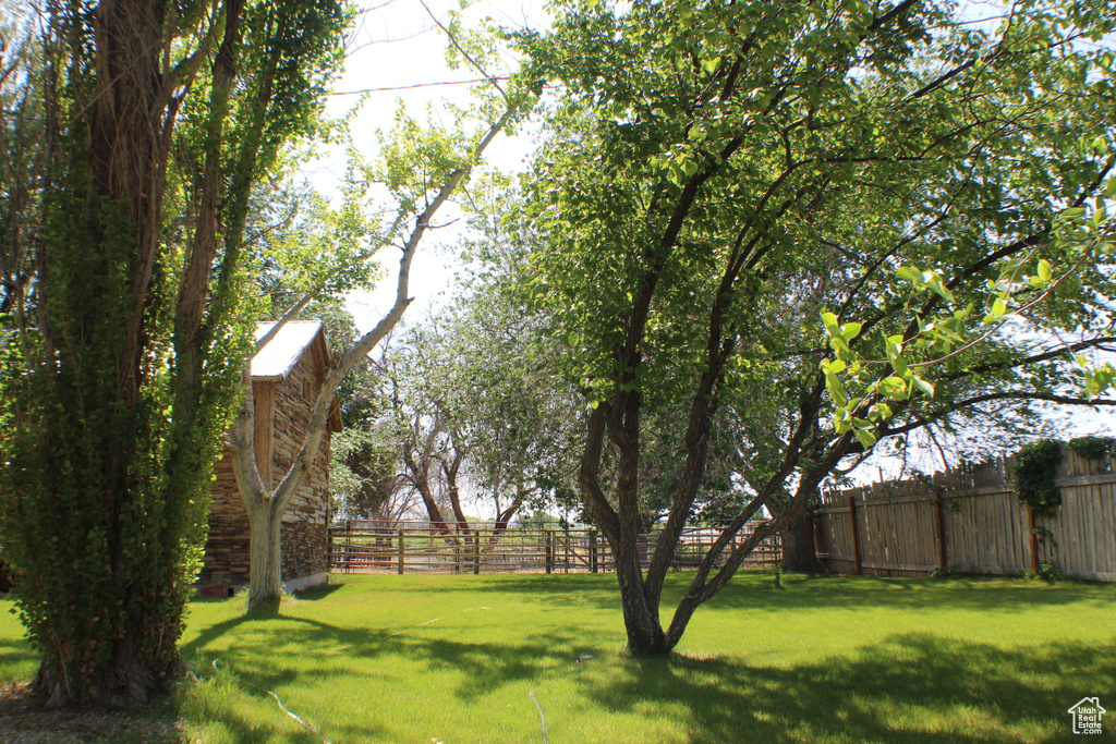 View of yard