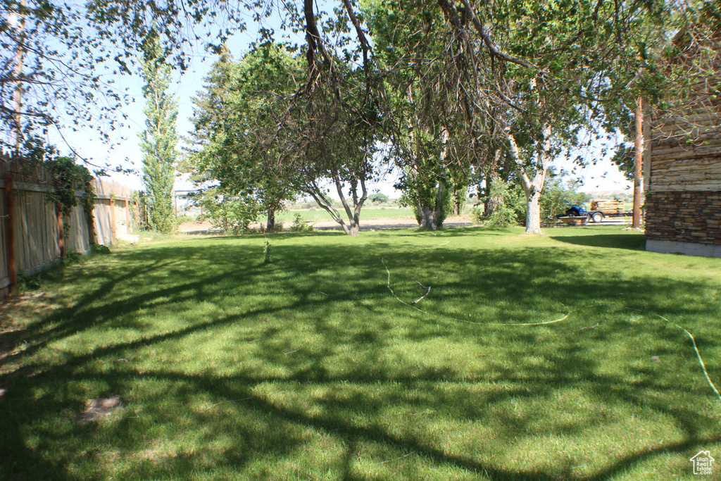 View of grassy yard