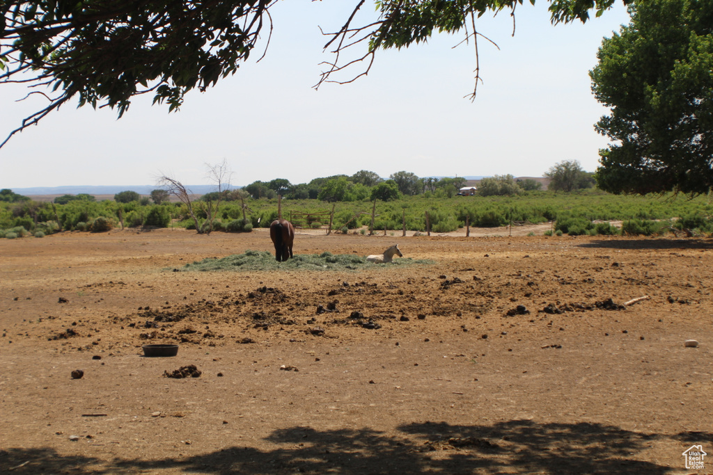 View of nature featuring rural landscape