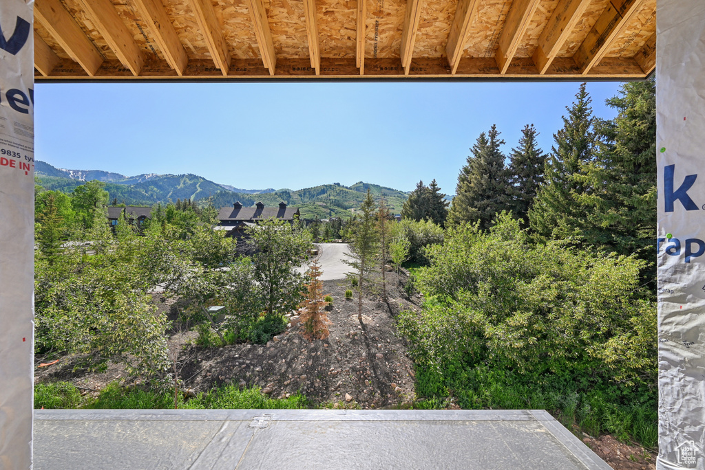 Mountain view