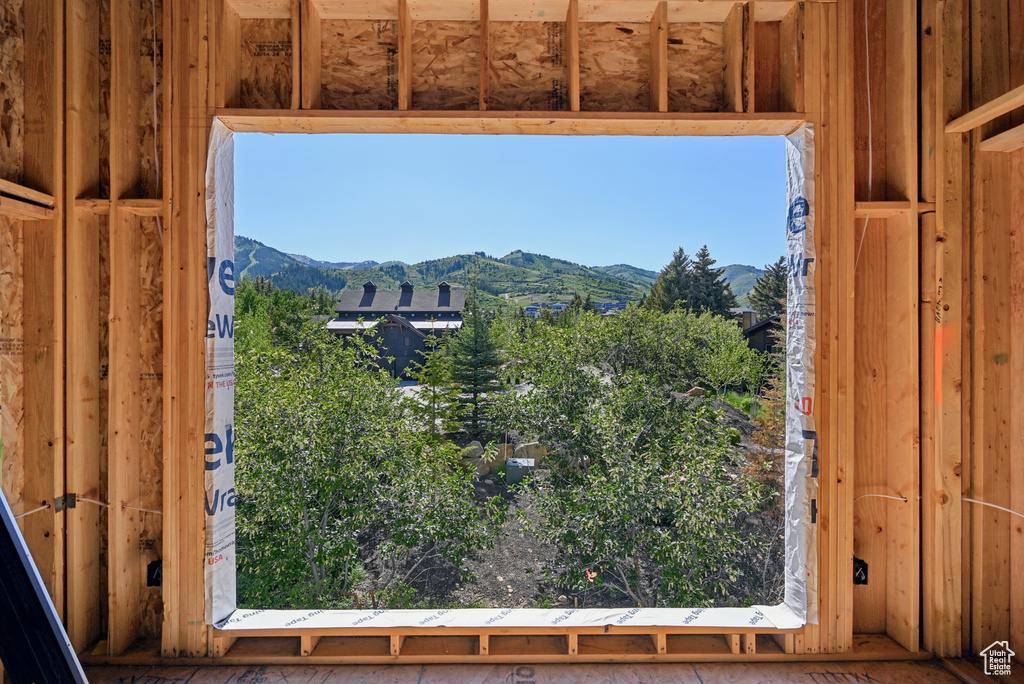 Detailed view of a mountainous background
