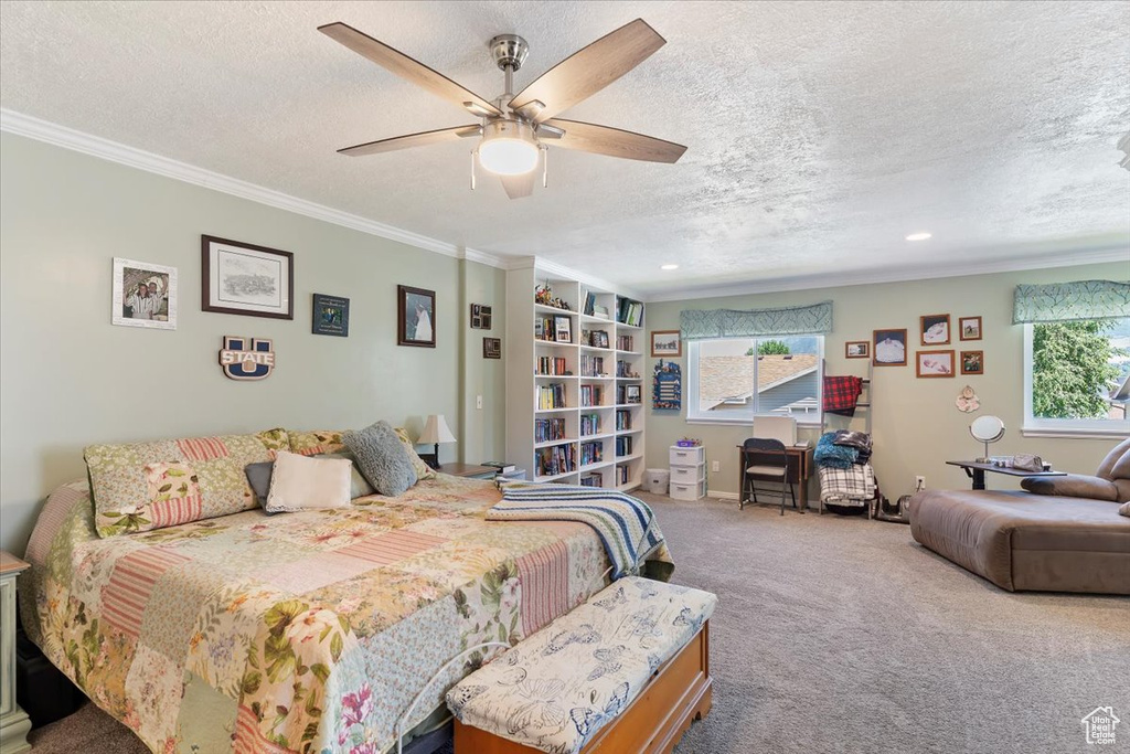 Bedroom with multiple windows, a textured ceiling, carpet floors, ornamental molding, and a ceiling fan