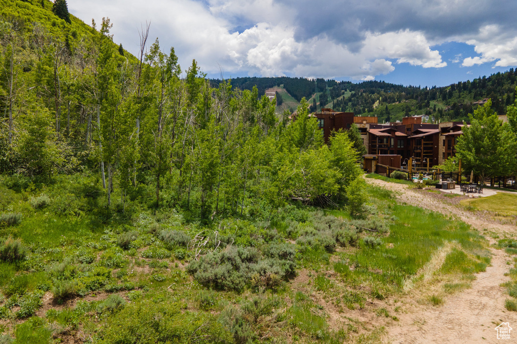 Mountain view featuring a heavily wooded area