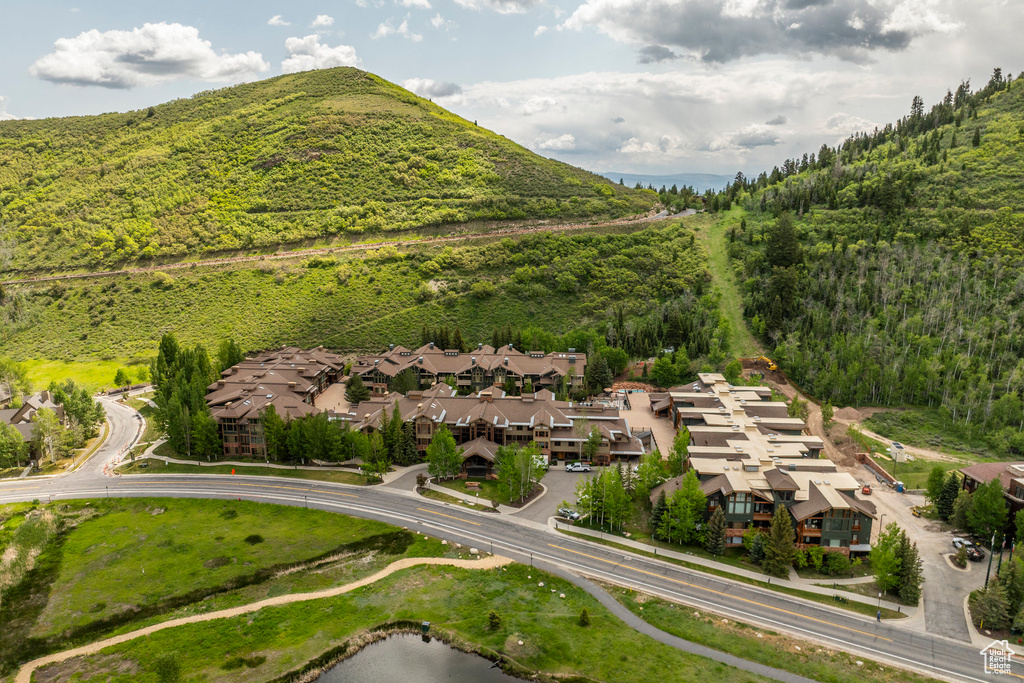 Aerial perspective of suburban area featuring a forest