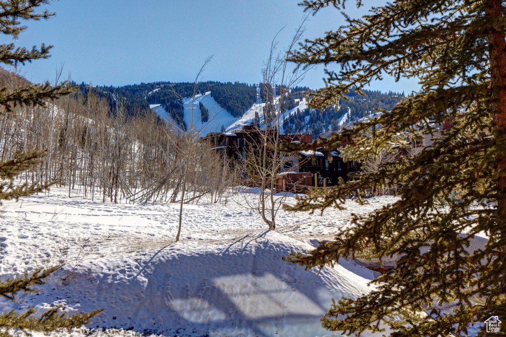 View of mountain background