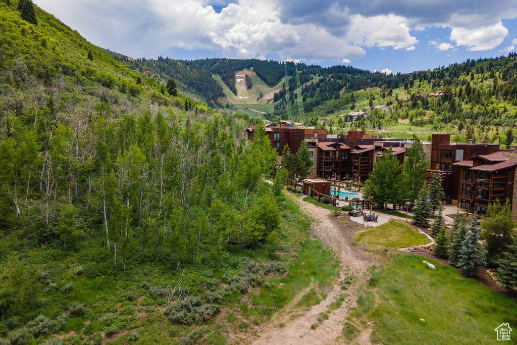 View of mountain backdrop featuring a heavily wooded area