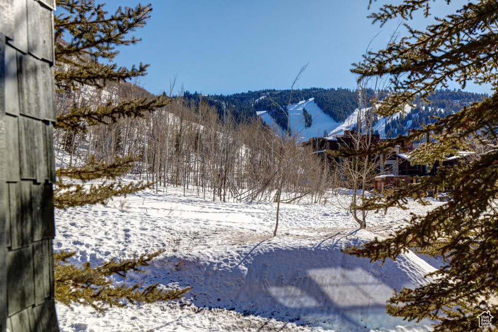 View of mountain background