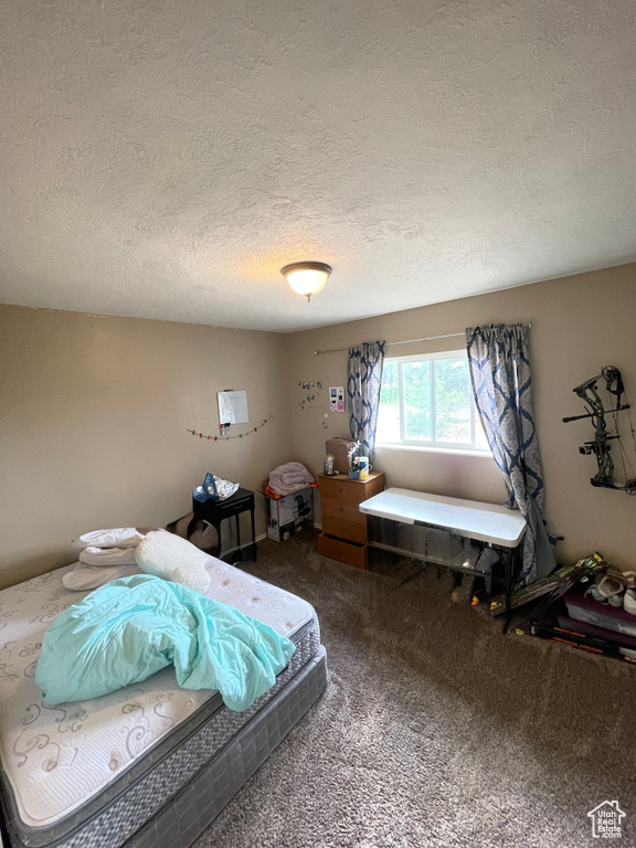 Carpeted bedroom with a textured ceiling