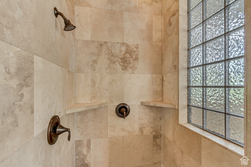 Bathroom view of a tile shower