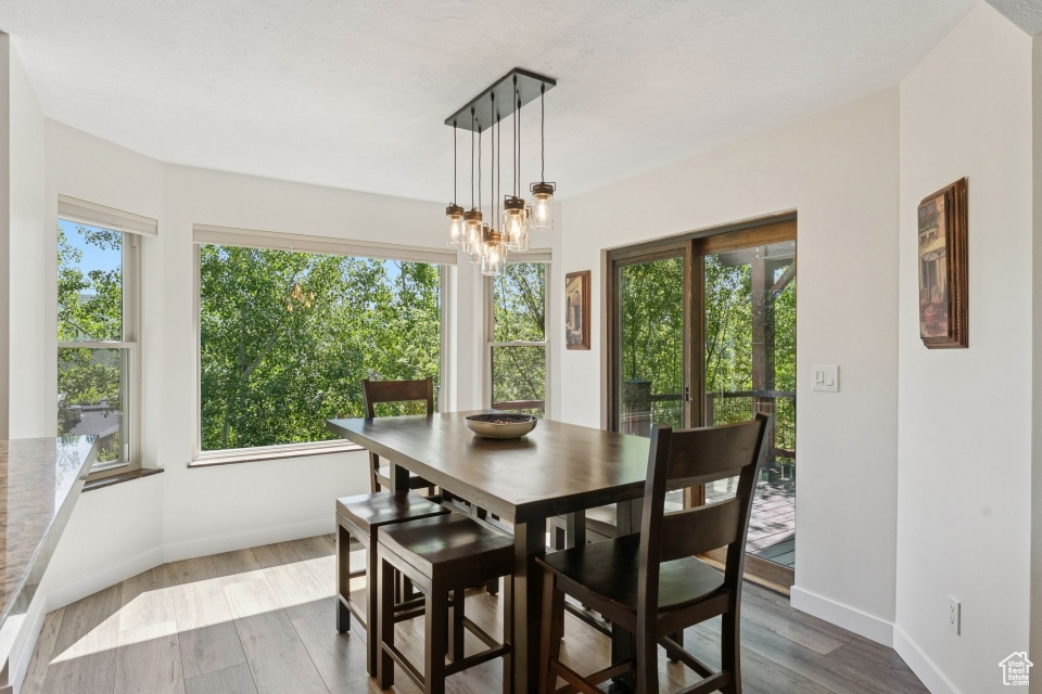 Dining room featuring dark wood finished floors, baseboards, and a chandelier