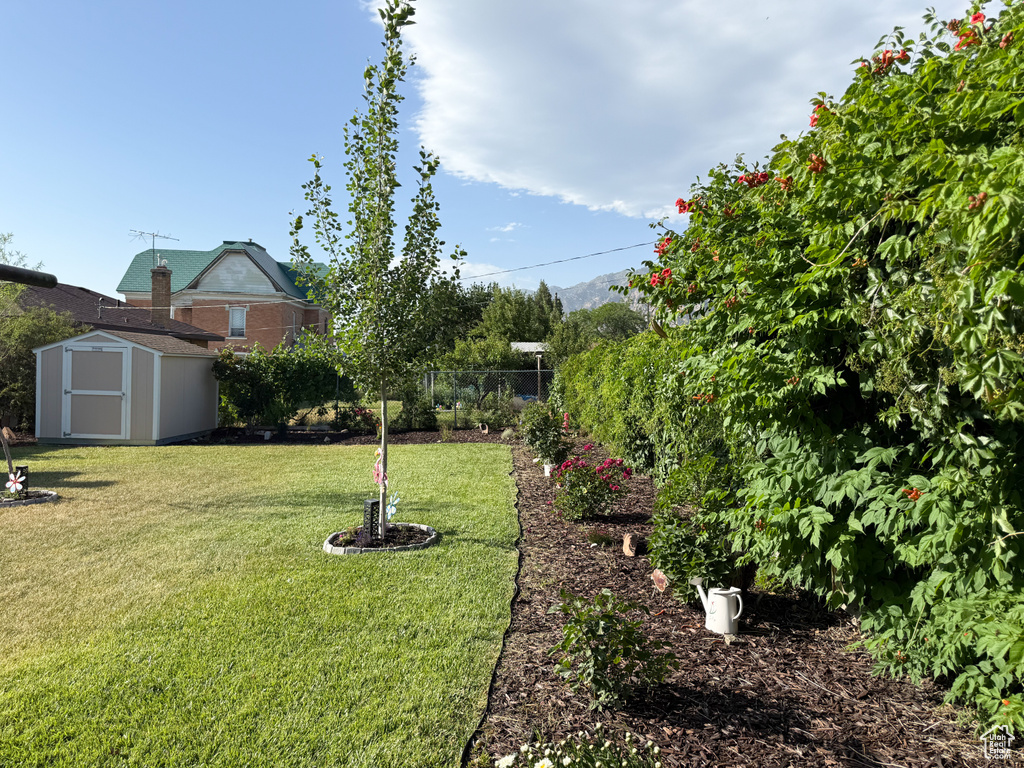 View of yard featuring a shed