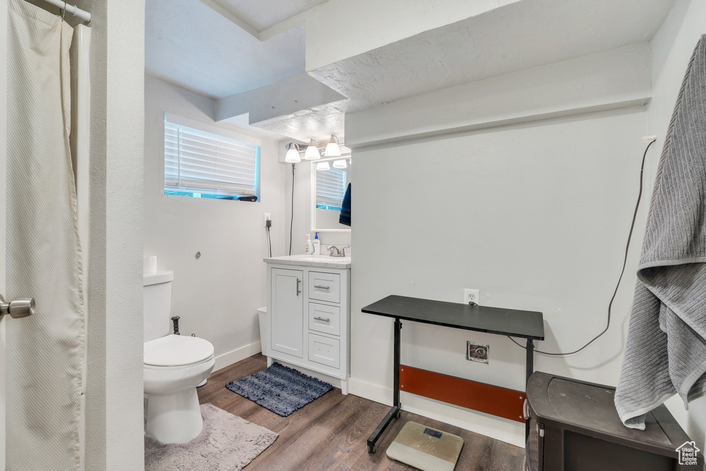 Full bath featuring vanity, wood finished floors, toilet, a shower with shower curtain, and a chandelier