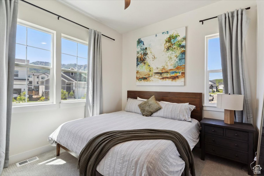Bedroom with carpet floors, multiple windows, and baseboards