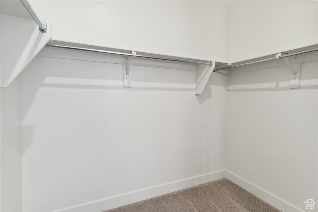 Walk in closet with carpet