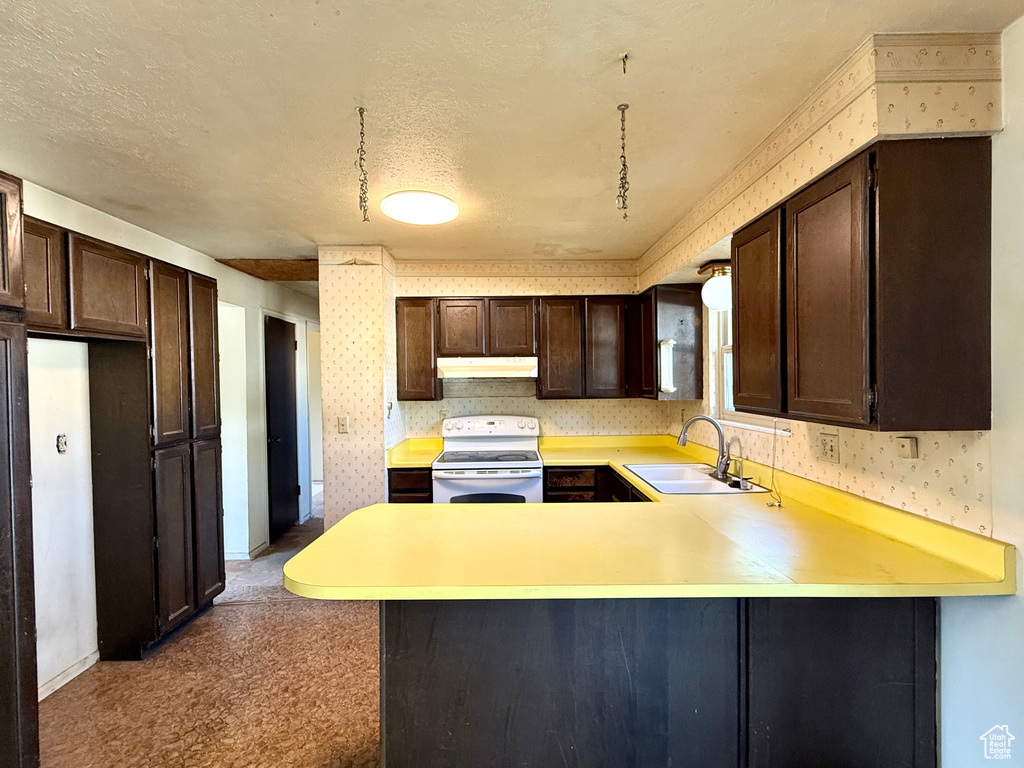 Kitchen featuring electric range, a sink, under cabinet range hood, wallpapered walls, and dark brown cabinets