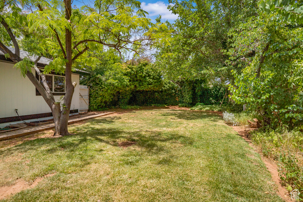 View of grassy yard