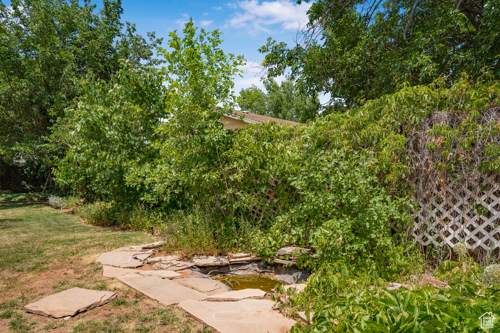 View of grassy yard with a small pond
