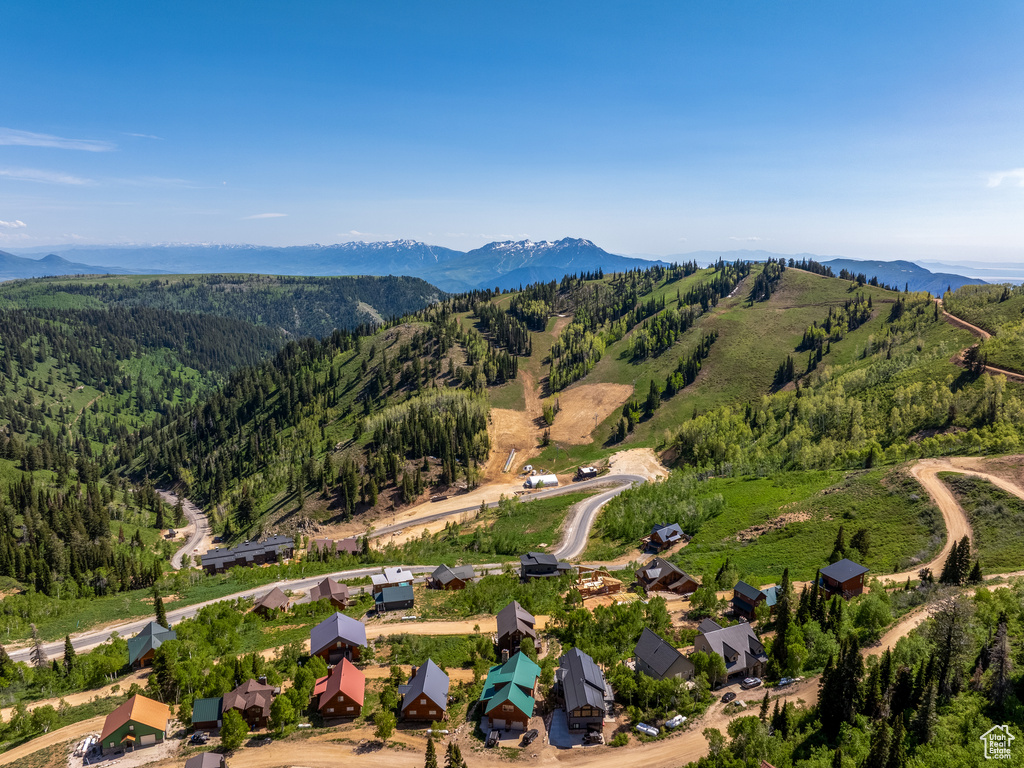 Aerial view of a mountain backdrop and a forest