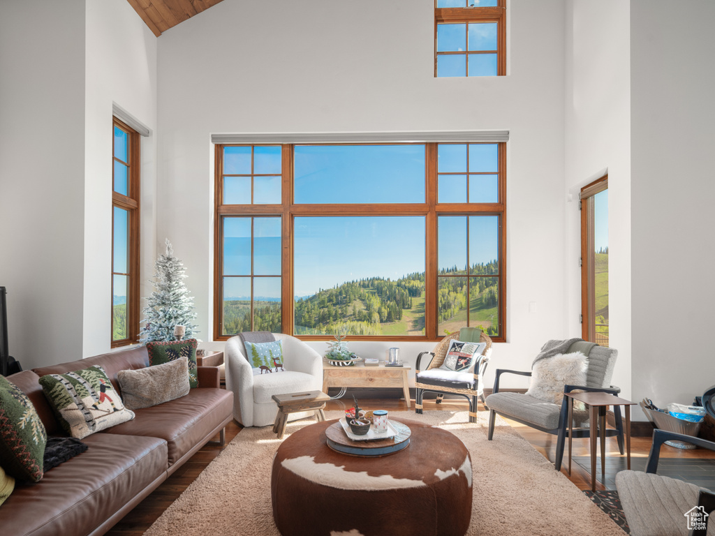Living area featuring high vaulted ceiling and wood finished floors