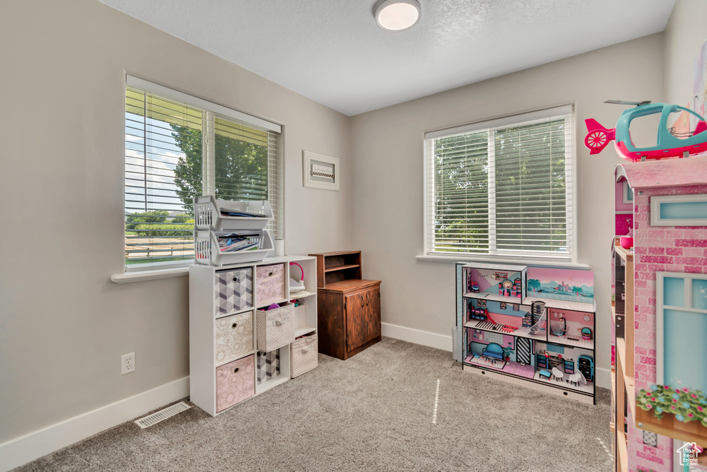 Home office with baseboards and carpet flooring