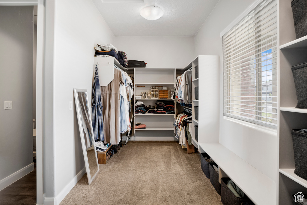 Spacious closet featuring carpet flooring