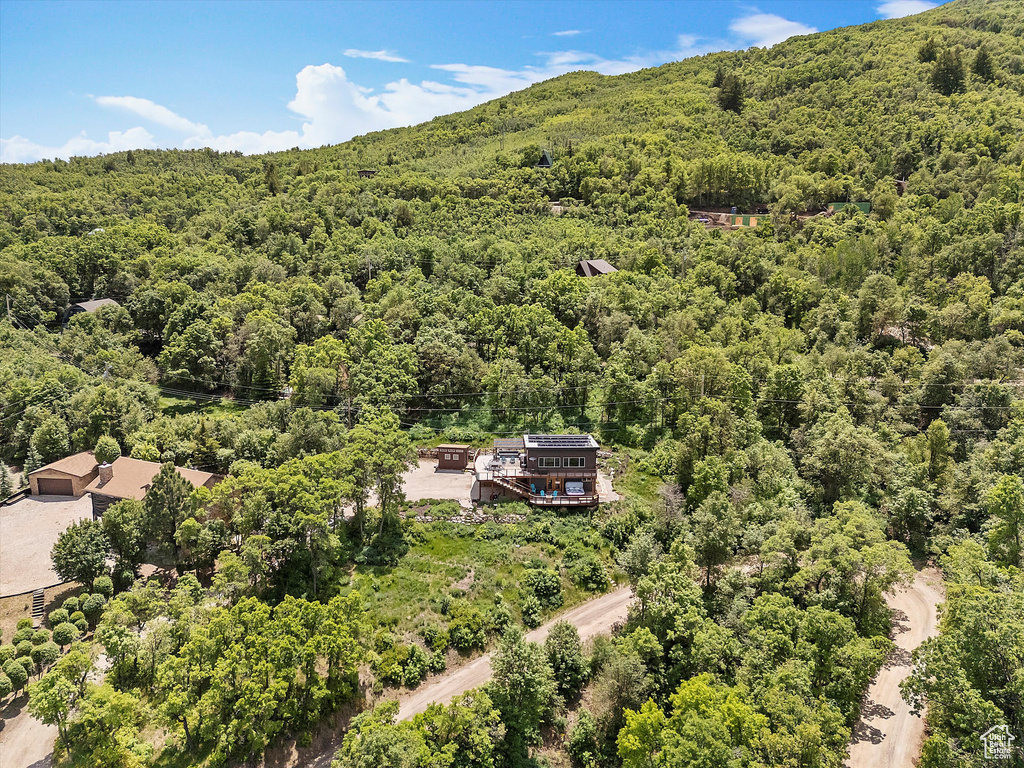 Bird\'s eye view of a forest