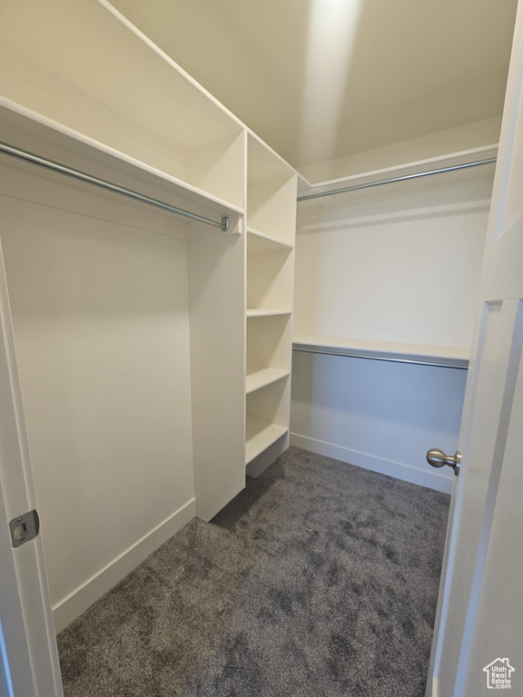 Spacious closet featuring dark colored carpet