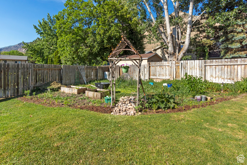 View of yard featuring a garden