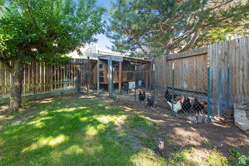 View of yard with exterior structure and an outbuilding
