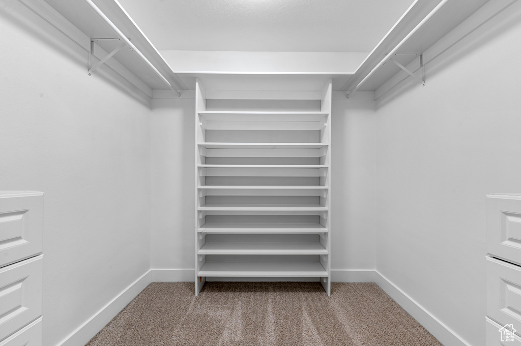 Walk in closet featuring carpet floors