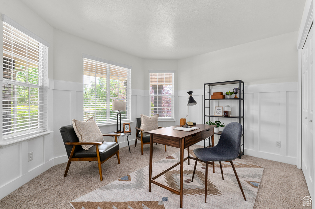 Office space featuring a decorative wall, light colored carpet, and a wainscoted wall