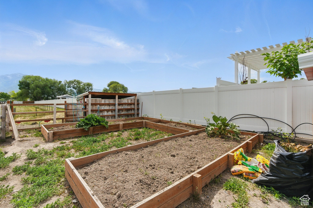View of yard featuring a vegetable garden