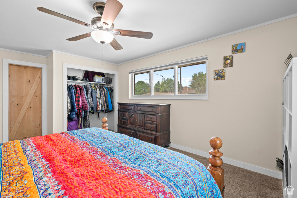 Carpeted bedroom with a closet, baseboards, ornamental molding, and a ceiling fan