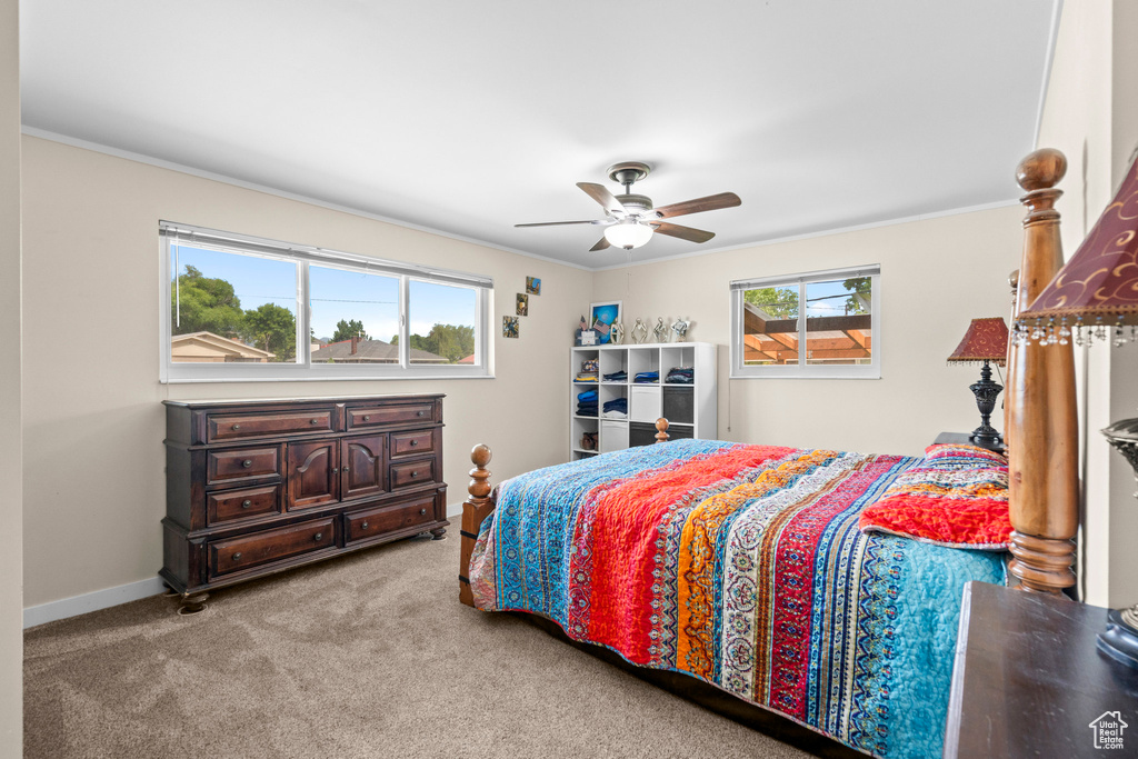 Bedroom with multiple windows, carpet, ceiling fan, crown molding, and baseboards