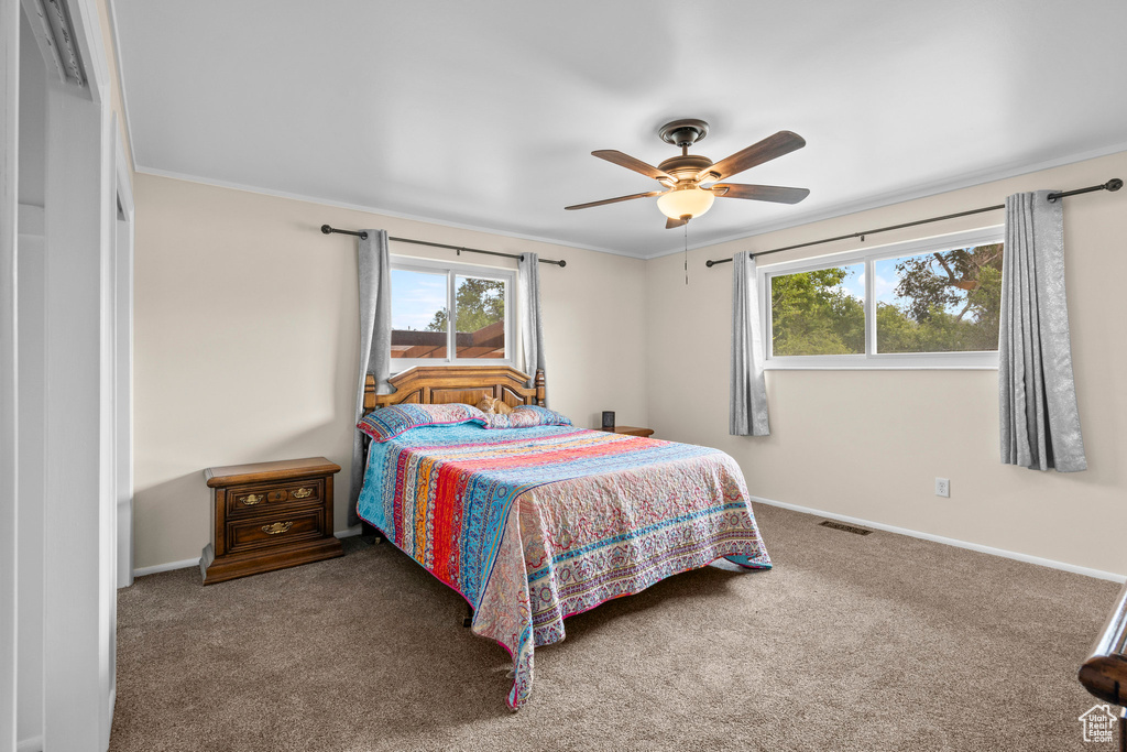 Bedroom featuring carpet flooring, multiple windows, baseboards, ornamental molding, and ceiling fan