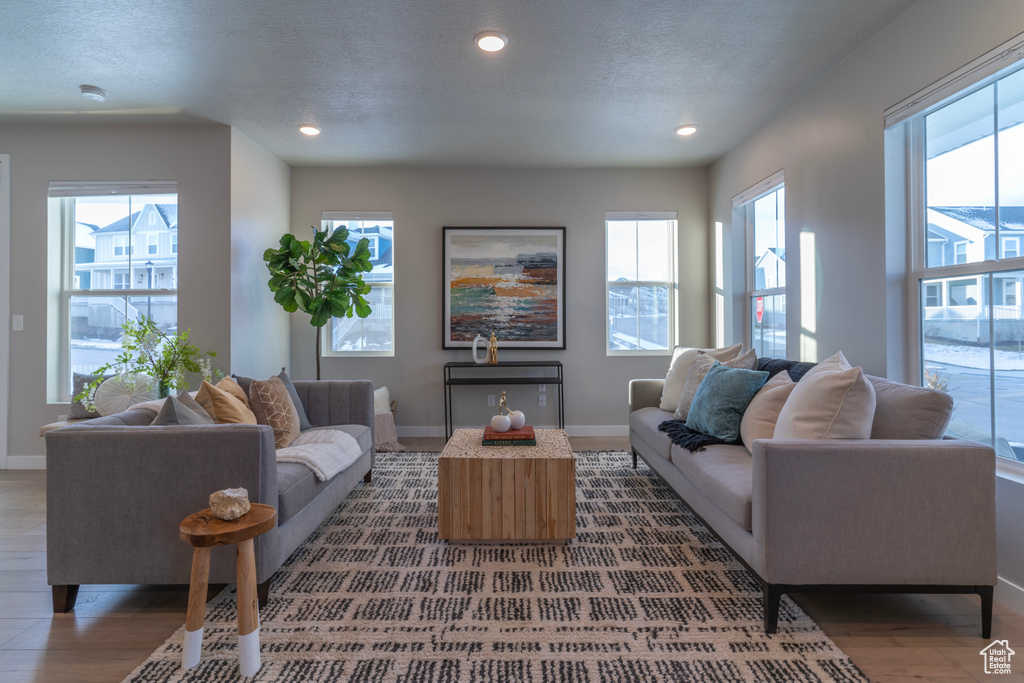 Living room with dark wood finished floors, baseboards, and recessed lighting