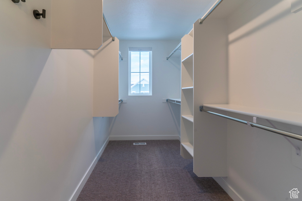 Spacious closet featuring dark colored carpet