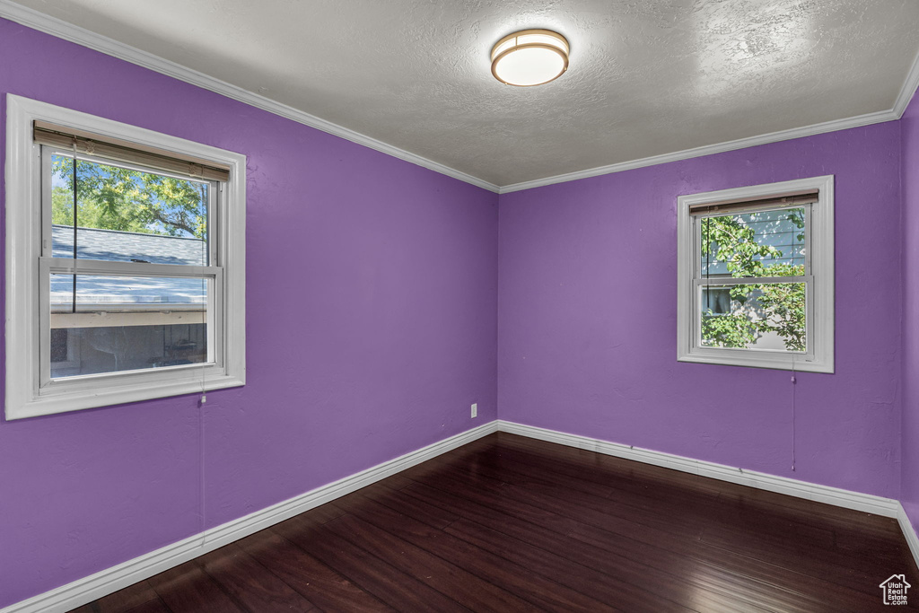 Spare room featuring plenty of natural light, wood finished floors, baseboards, a textured ceiling, and crown molding