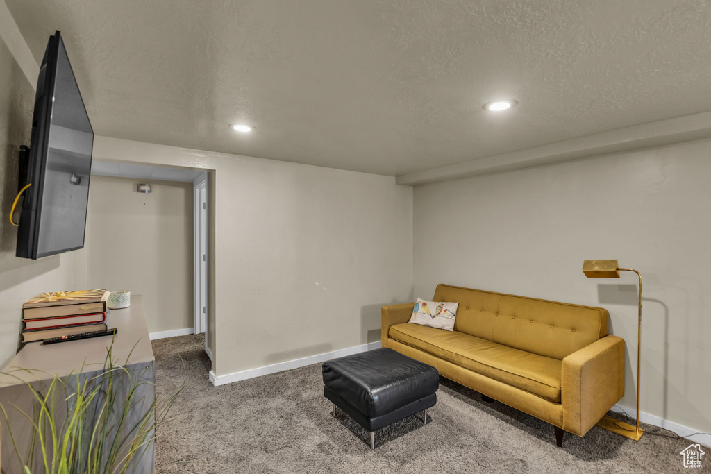 Living area with recessed lighting, carpet, baseboards, and a textured ceiling