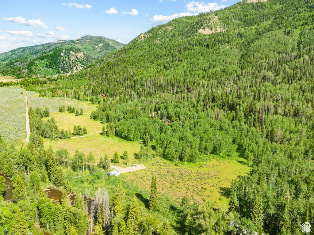 View of mountain backdrop featuring a heavily wooded area