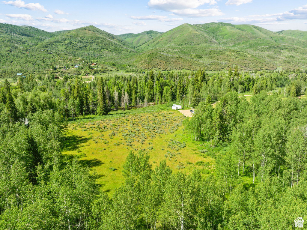 View of mountain background featuring a forest