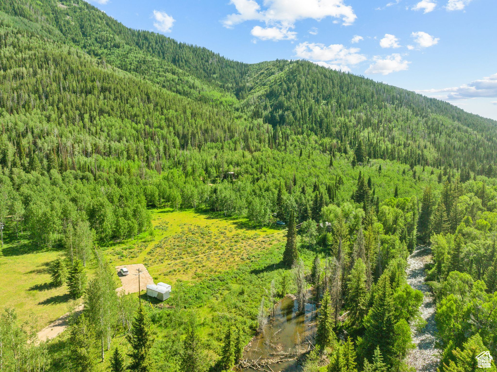 Mountain view with a forest