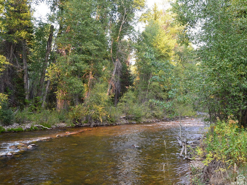 Water view with a forest