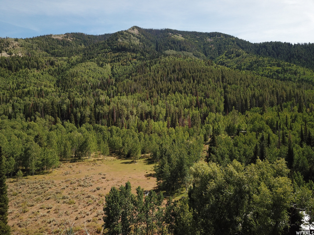 Mountain view with a heavily wooded area