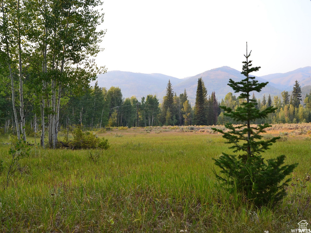 Mountain view with a heavily wooded area