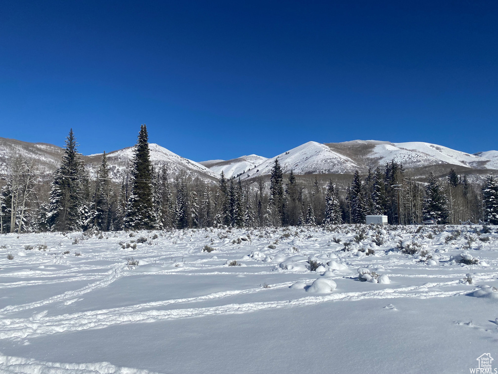 View of mountain background