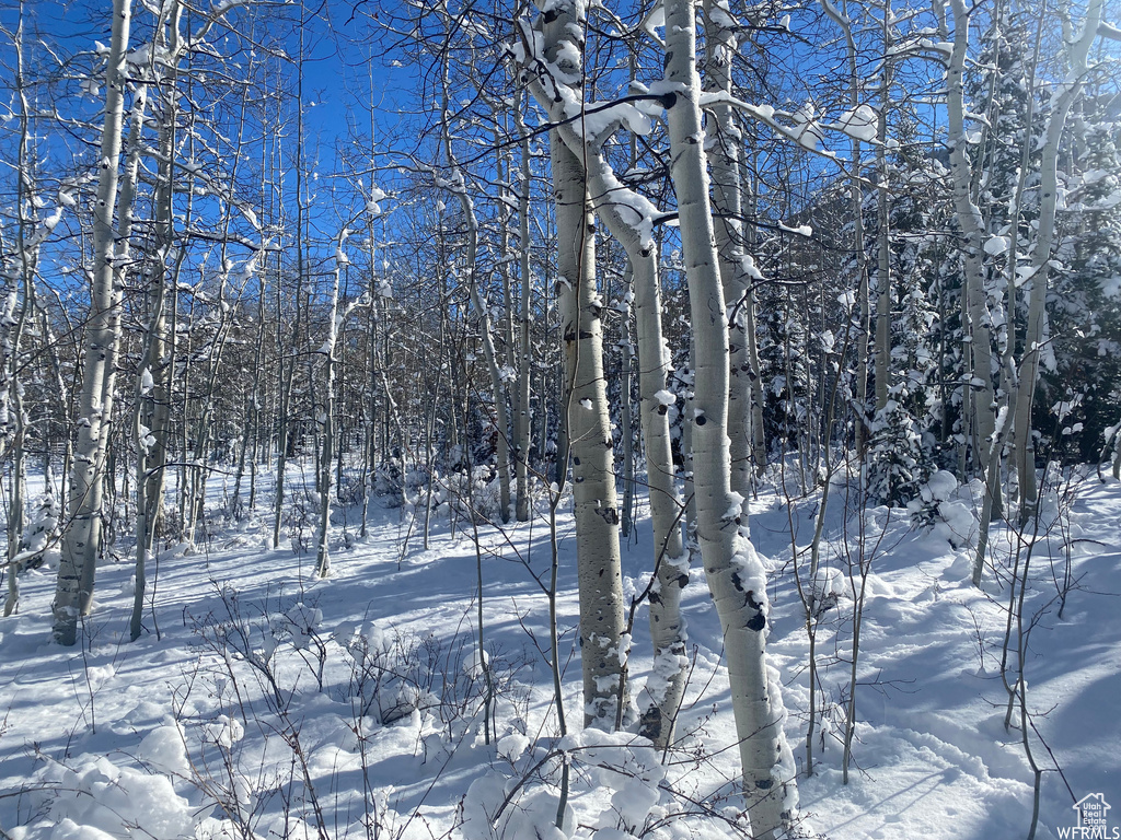 View of snowy landscape