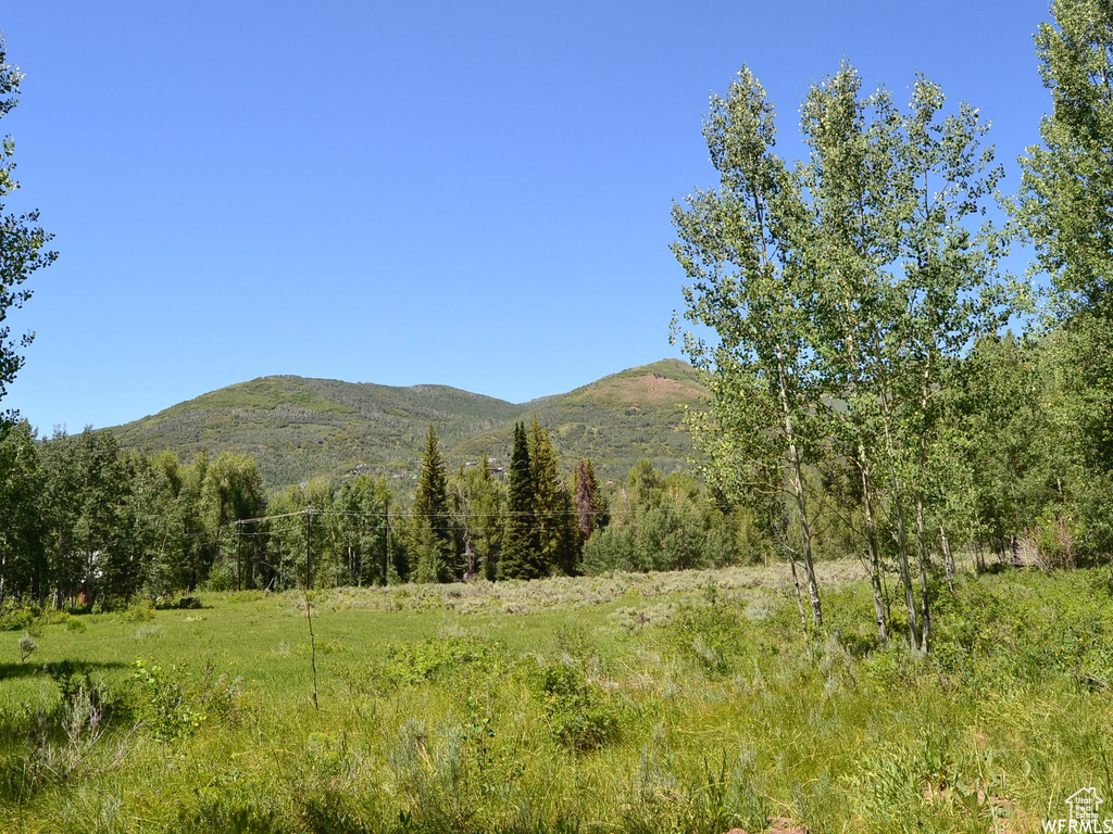 View of mountain background with rural landscape and a heavily wooded area