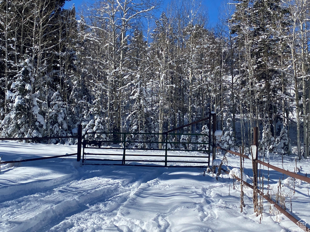 View of yard layered in snow