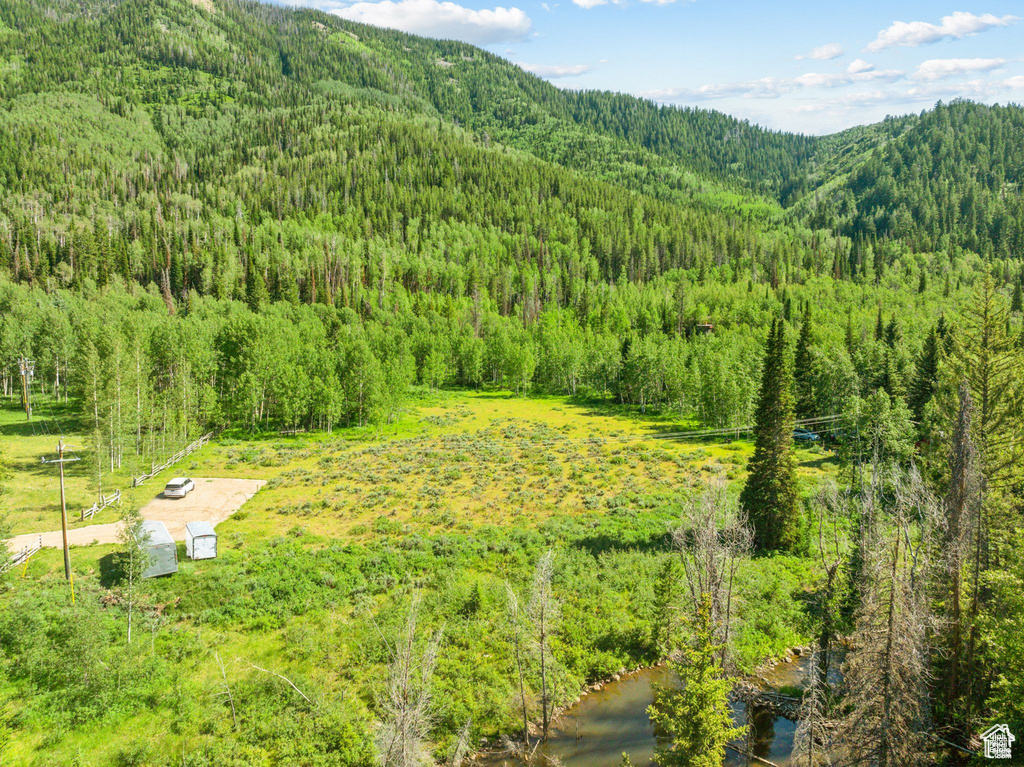 View of mountain backdrop featuring a heavily wooded area